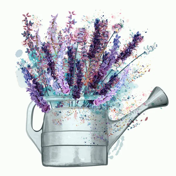 Vintage Wektor Ilustracja Wody Kwiatów Lawendy Akwarela Stylu Francuskim — Wektor stockowy