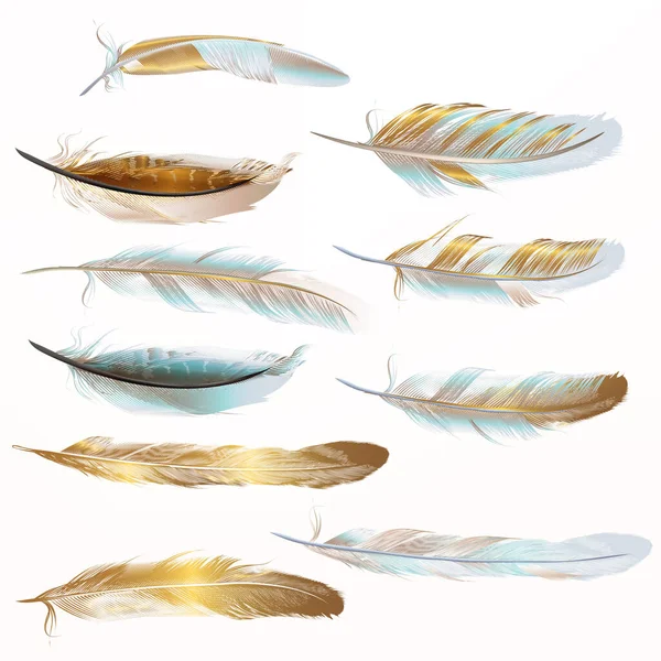 Collection Vector Golden Feathers Design Realistic Style Stock Illustration
