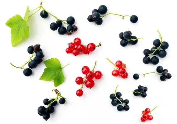 Fresh Juicy Red Black Currants Isolated White Background — Stock Photo, Image