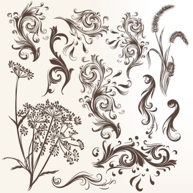 vektör süsleri vintage Style set