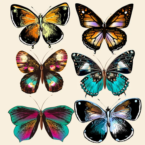 Collection de papillons vectoriels colorés dans un style vintage — Image vectorielle