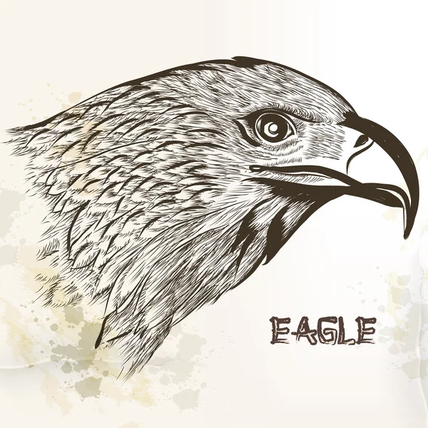 Hand drawn vector eagle — Stock Vector