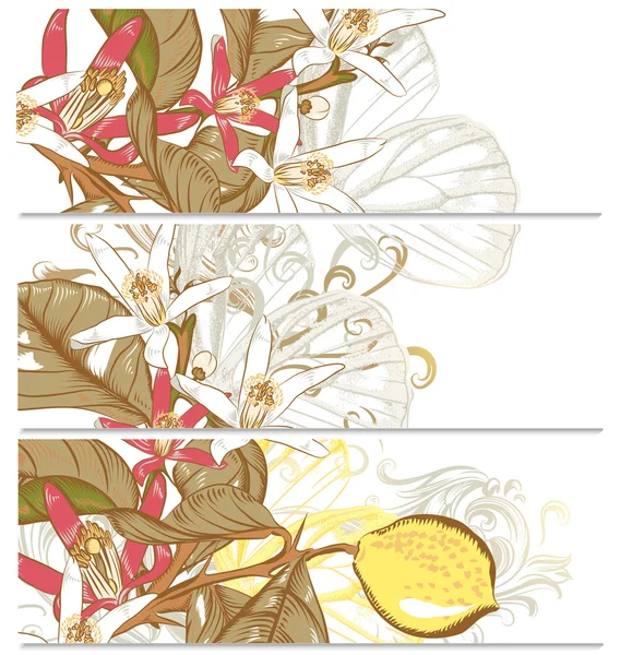 Sfondi con fiori di limone — Vettoriale Stock