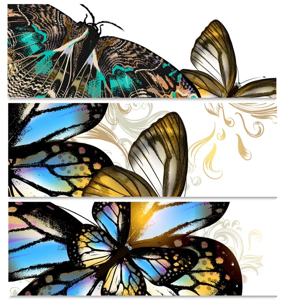 Fondo con mariposas — Vector de stock