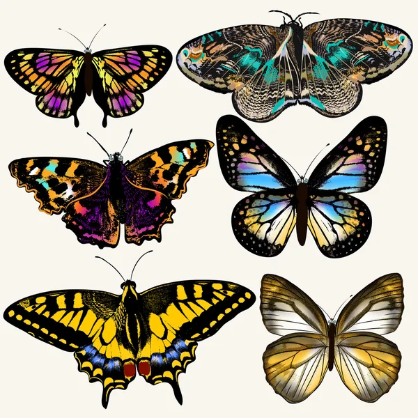 Colección de mariposas de colores vectoriales en estilo vintage — Vector de stock