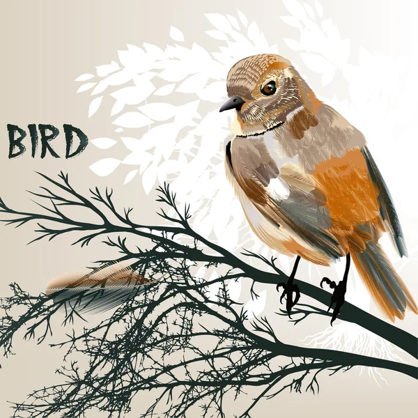 Színes madár ül egy ág fa — Stock Vector