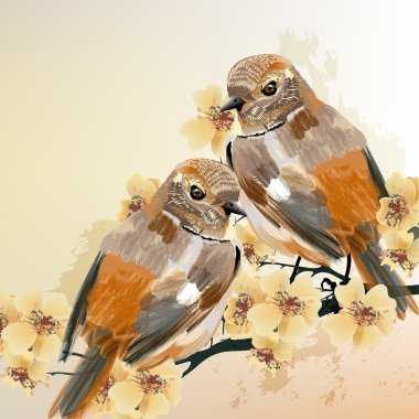 Couple of birds sit on a blooming branch tree
