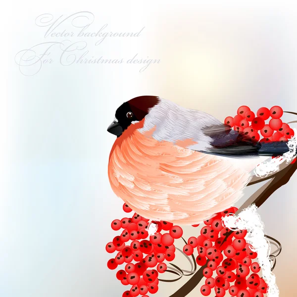 圣诞贺卡与树枝上的小鸟 — 图库矢量图片
