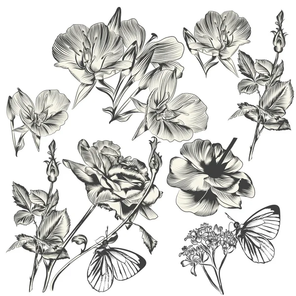 Collection de fleurs dessinées à la main vectorielles pour la conception — Image vectorielle