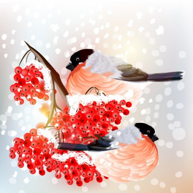 Kar, kuş ve rowan retro tarzı ile Noel arka plan