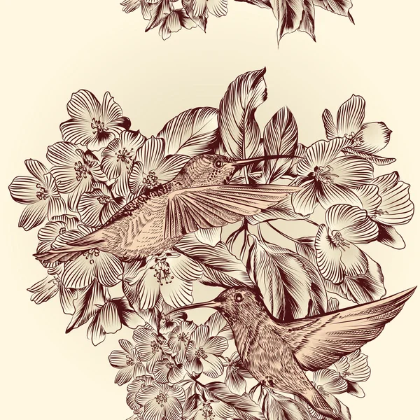 蜂鸟与花花卉矢量无缝模式 — 图库矢量图片