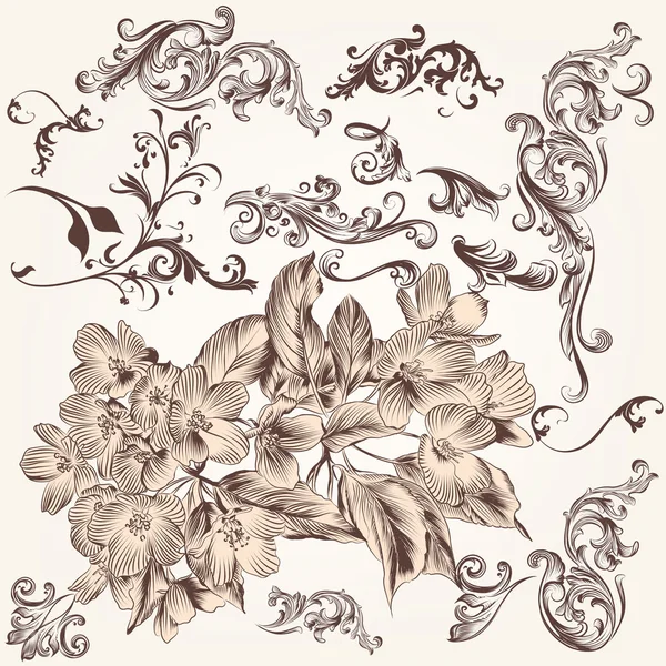 Ensemble vectoriel de tourbillons dessinés à la main et d'éléments floraux en st vintage — Image vectorielle