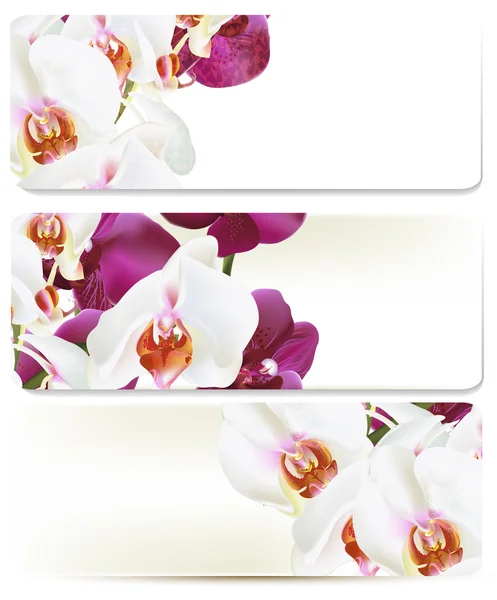 Floral achtergronden instellen met orchideeën — Stockvector