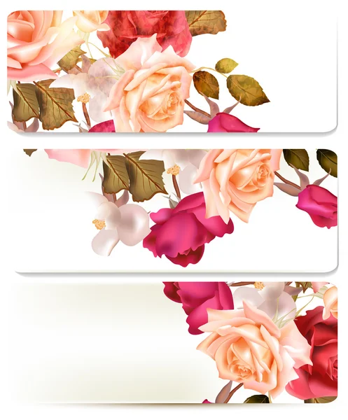 Floral backgrounds set with roses — Stock Vector