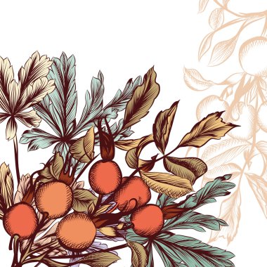 elle çizilmiş çiçek arka plan