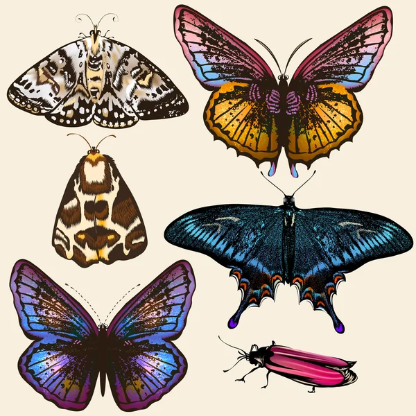 Collection of vector colorful butterflies in vintage style — Stock Vector