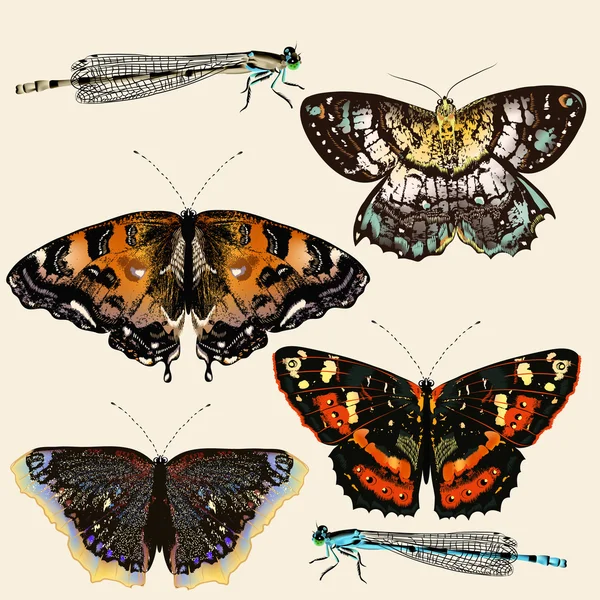 ビンテージ スタイルのベクトル カラフルな蝶のコレクション — ストックベクタ
