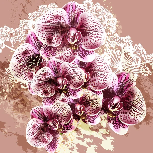 Grunge vector achtergrond met orchideebloemen — Stockvector