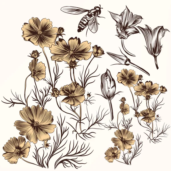 Sammlung von vektorgravierten handgezeichneten Blumen im Vintage-Stil — Stockvektor