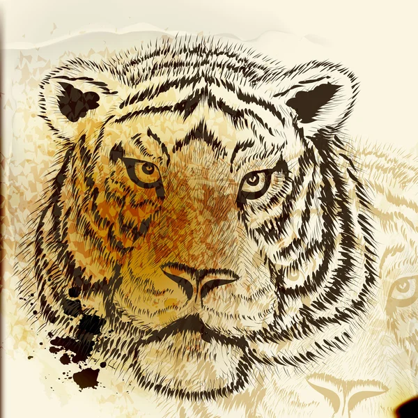 Retrato de tigre dibujado a mano — Vector de stock