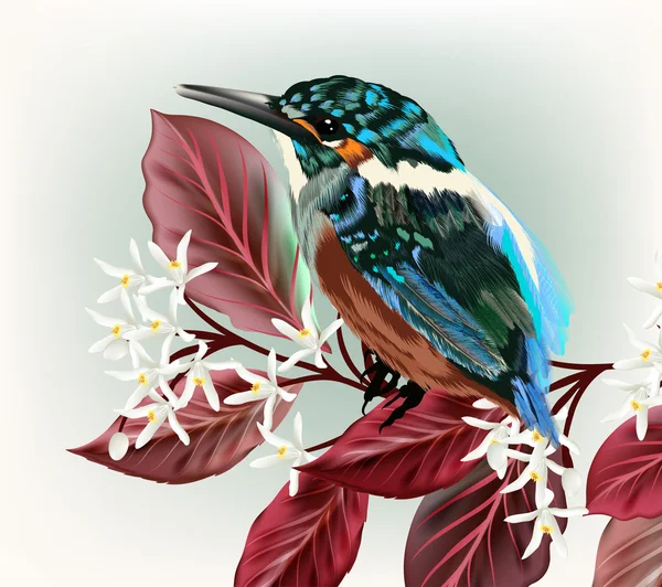 Illustration mit Vogel und Zweig mit Blumen — Stockvektor