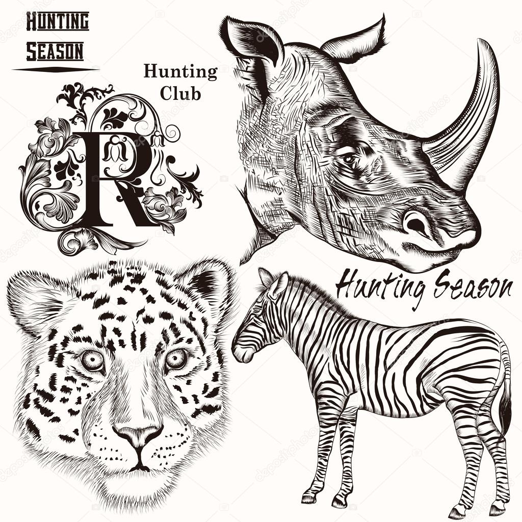 Collection of hand drawn animals for hunting design