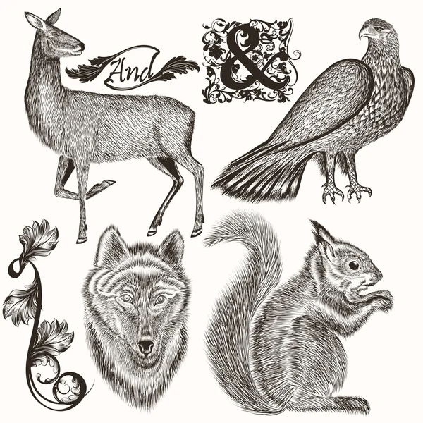 Collection d'animaux dessinés à la main pour la conception de la chasse — Image vectorielle