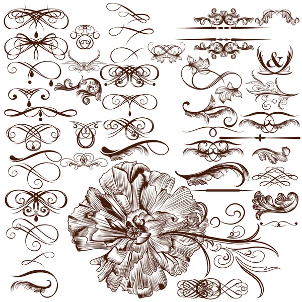 Vector set kalligrafische bloeit en ornamenten — Stockvector