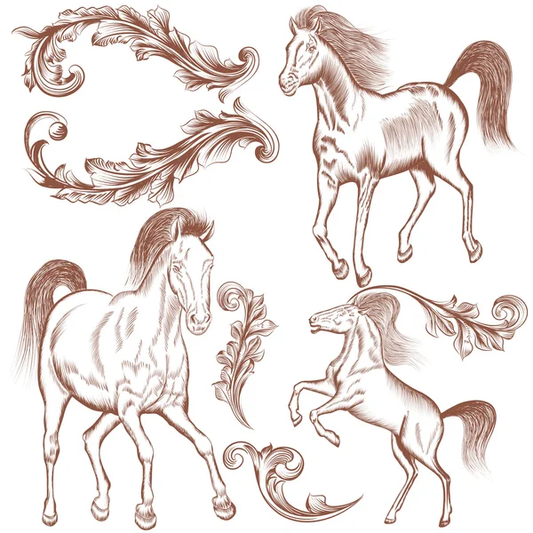 Collection of vector hand drawn horses and flourishes for design — Stock Vector