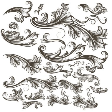 Collection of vector hand drawn floral swirls for design clipart
