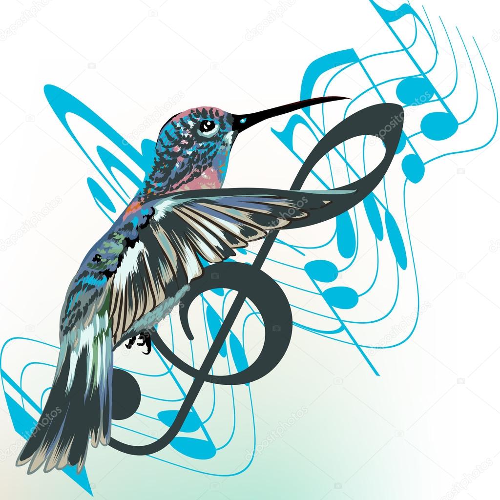 Music background with notes, treble clef and hummingbird
