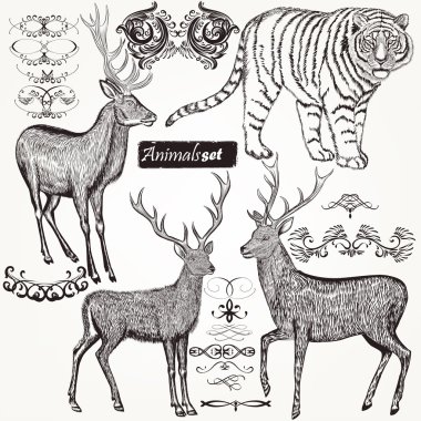 vektör elle çizilmiş hayvanların ve flourishes vintag içinde koleksiyonu