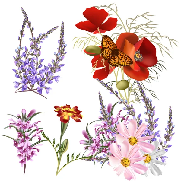 Insieme vettoriale di fiori colorati dettagliati — Vettoriale Stock