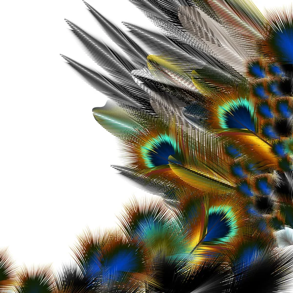 Modèle de mode avec des plumes colorées — Image vectorielle