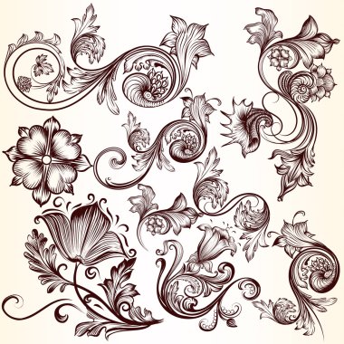 vektör dekoratif toplama tasarımı için swirls