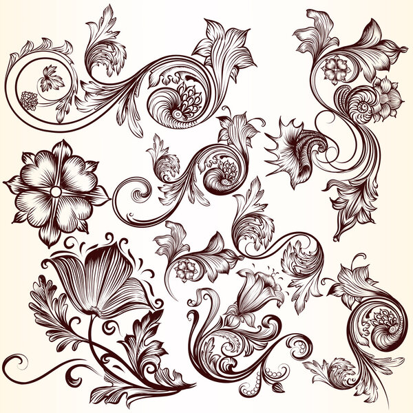 Collection of vector decorative swirls for design