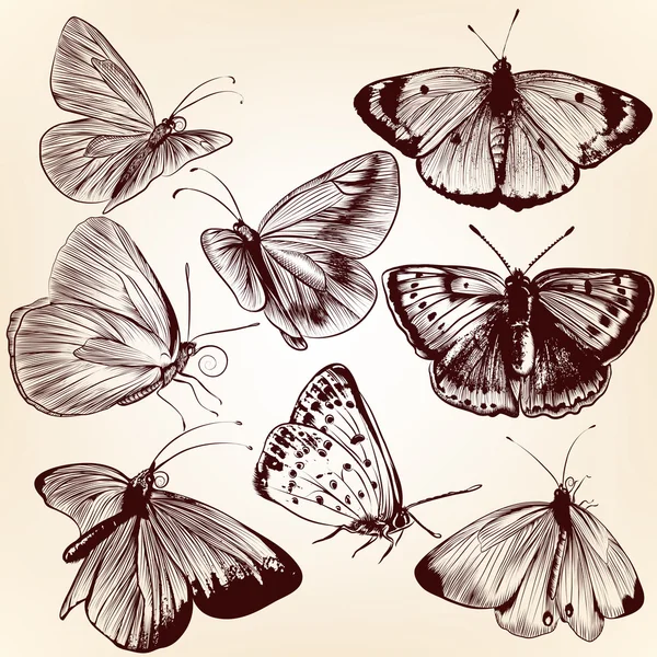 Collection of vector hand drawn butterflies for design — Stock Vector