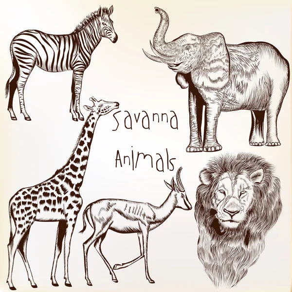 Engraved savanna animals set — Stock Vector