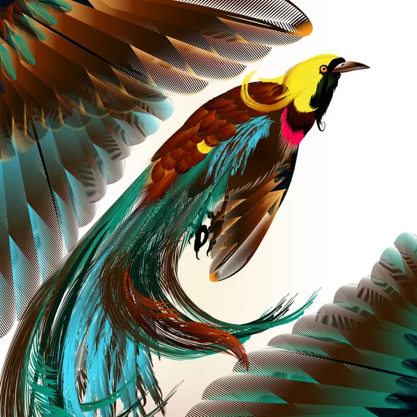 Pájaro tropical con plumas — Vector de stock