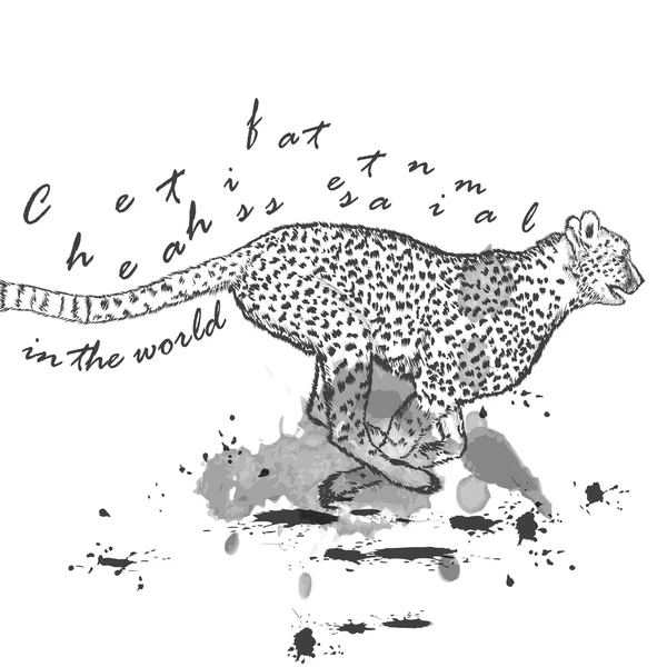 Guépard dessiné à la main animal courant avec des taches d'encre — Image vectorielle