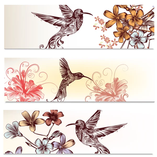 Broschüren mit Kolibris und Blumen — Stockvektor