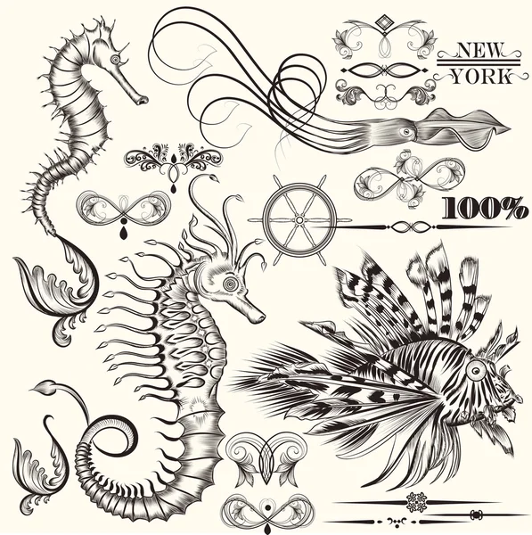 Collection d'éléments de mer dessinés à la main vectoriels — Image vectorielle