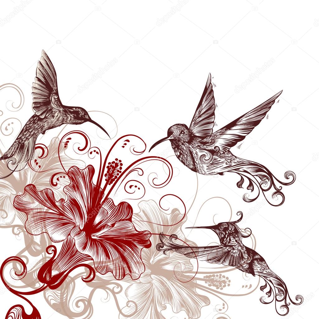 Floral background with hummingbirds and hibiscus flowers