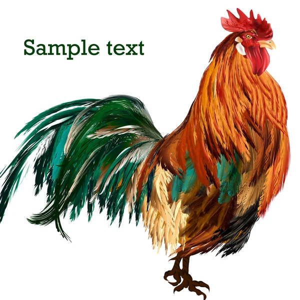Ilustración de gallo vectorial con plumas de colores — Archivo Imágenes Vectoriales
