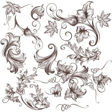 Vektör topluluğu el çekilmiş floral swirls