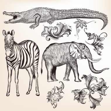 Vektör swirls ve hayvan topluluğu