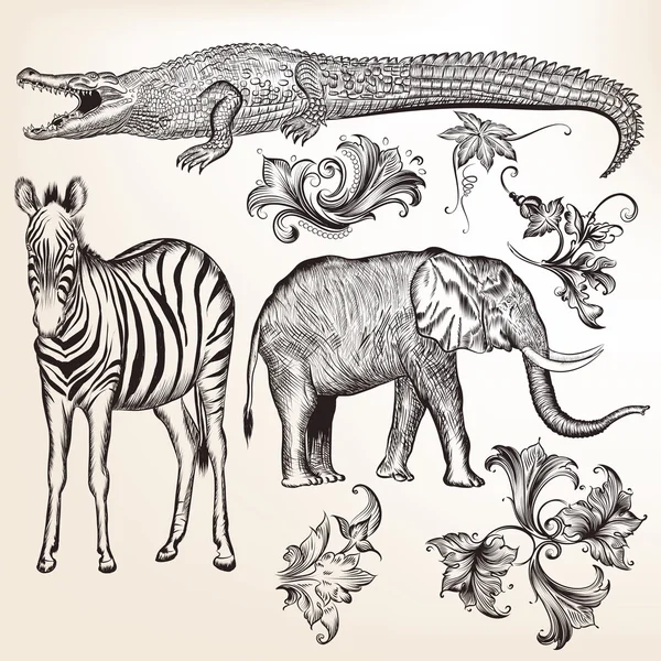 Colección de remolinos vectoriales y animales — Archivo Imágenes Vectoriales