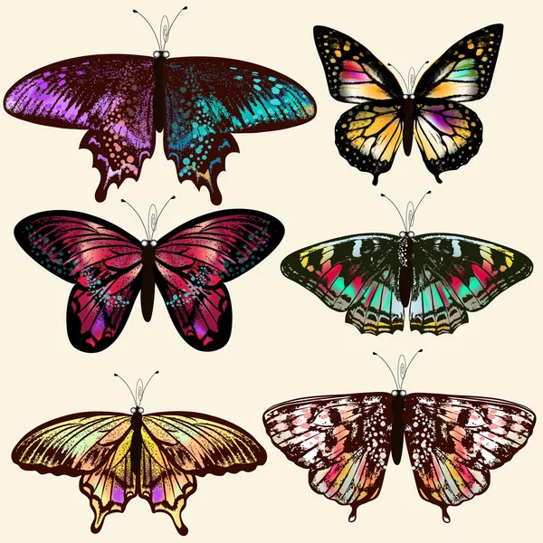 Vector mariposas realistas para el diseño — Vector de stock