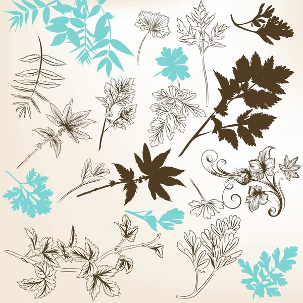Conjunto floral de hojas vectoriales y ramas de plantas para diseño — Vector de stock