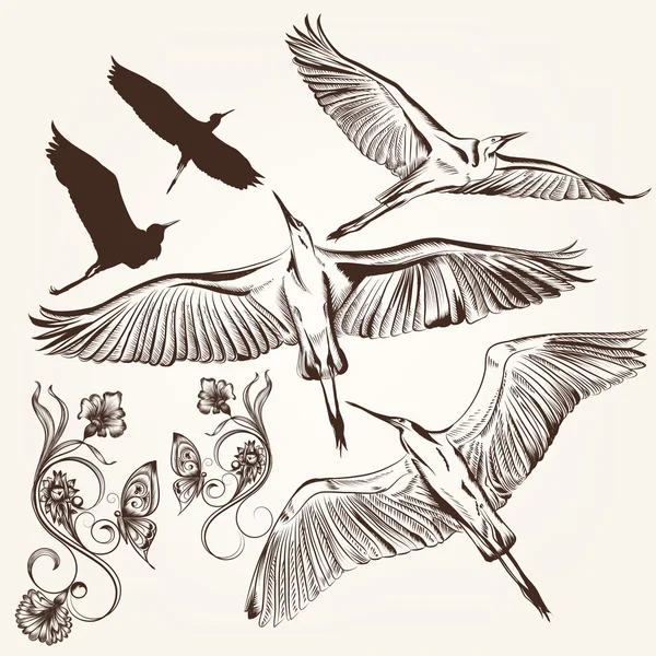 Reihe von Vektor-handgezeichneten Vögeln und Wirbeln — Stockvektor